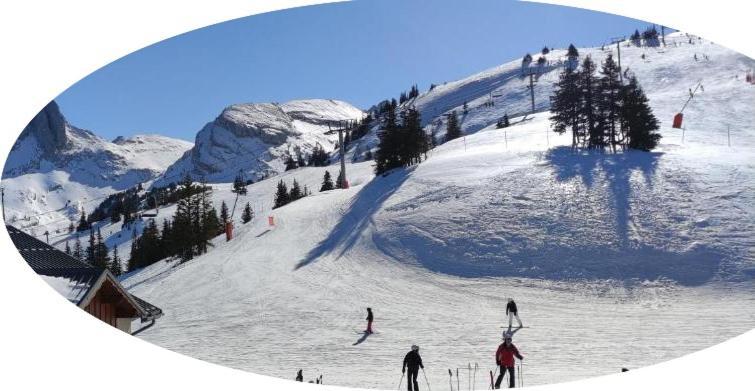 Studio Pied Des Pistes Villard-de-Lans Dış mekan fotoğraf